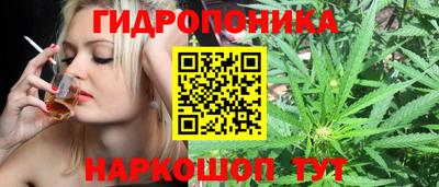 дмт Лесосибирск