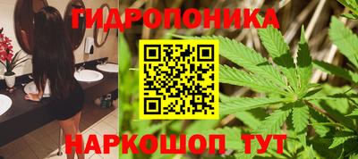 Альфа ПВП Ликино-Дулёво