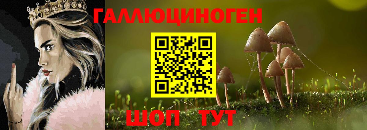 Псилоцибиновые грибы GOLDEN TEACHER  Галлюциногенные грибы прущие грибы  дарнет шоп  Заводоуковск  Вход с VPN 