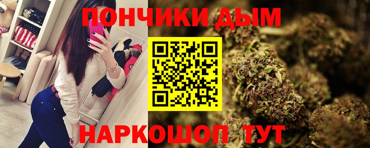 Конопля сатива  Вход с VPN  Бошки марихуана MAZAR  Заводоуковск 